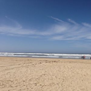 Meet your Posher, Lilia